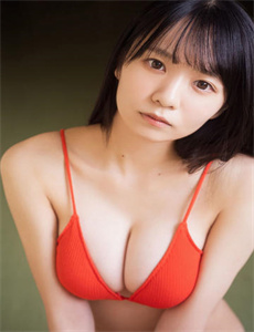 雪山飞狐在线观看