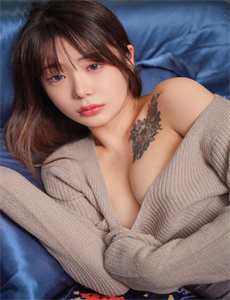 无敌雄鹰